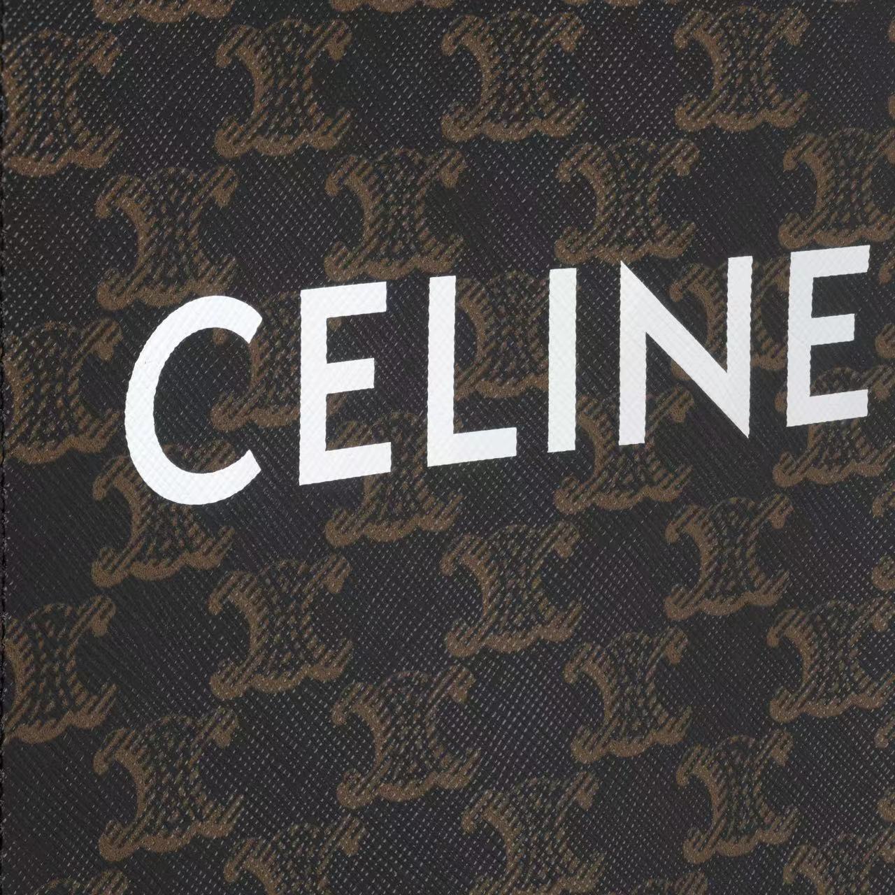 MINI VERTICAL CABAS IN TRIOMPHE CANVAS AND CALFSKIN WITH CELINE PRINT TAN image 3